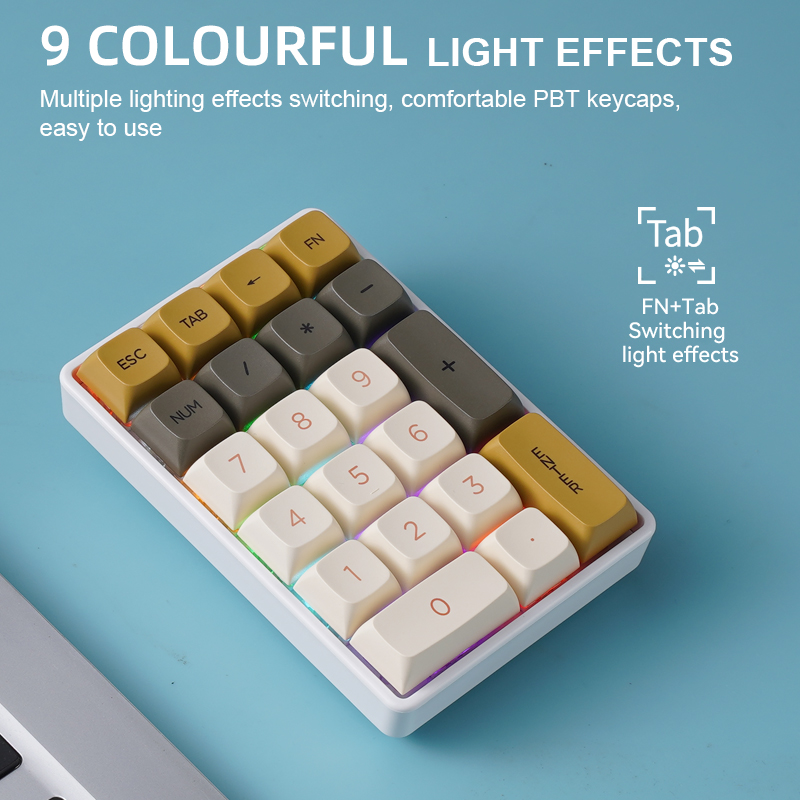 FREEWOLF K21 Wireless Mechanic – Keyboard Numpad Separate Bewertung und Preis